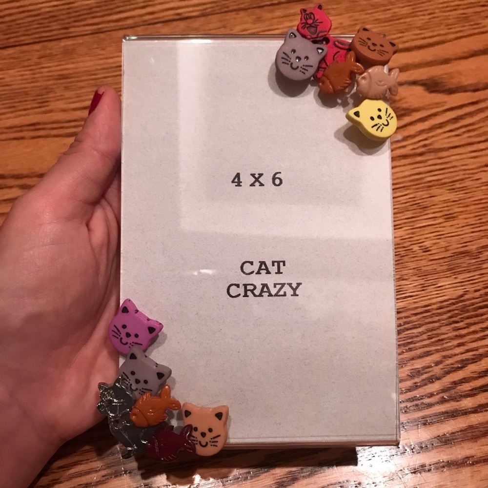 New! Artisan Cat Crazy lucite picture frame